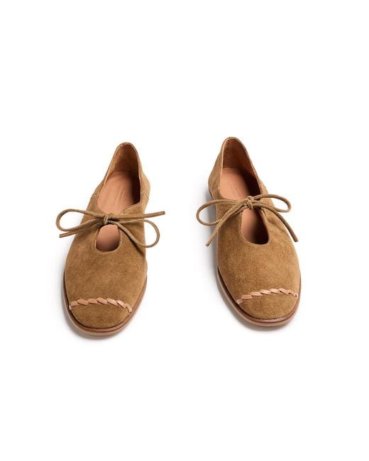 Naguisa Brown Lavinia