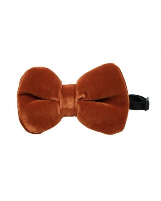 DAVID WEJ Brown Velvet Pretied Bow Tie – for men