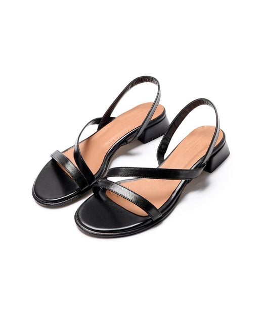 Naguisa Black Laredo