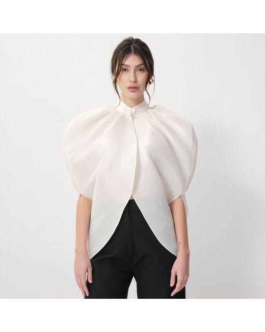 Concepto White Sage Cape
