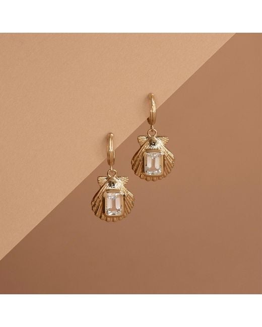 Zoe & Morgan Metallic Cordelia Earrings
