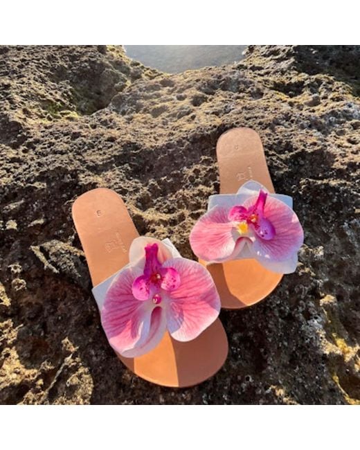 Sibylla Delphica Pink Calanthe Flat Leather Sandals