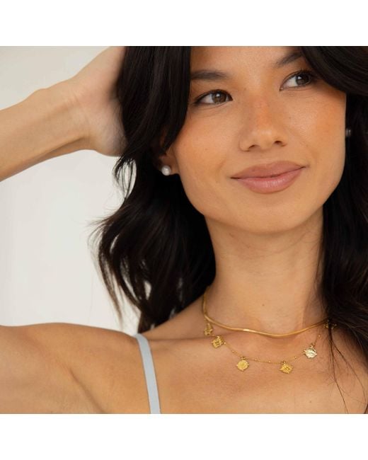 Arctic Fox & Co. Metallic The Box Chain Necklace