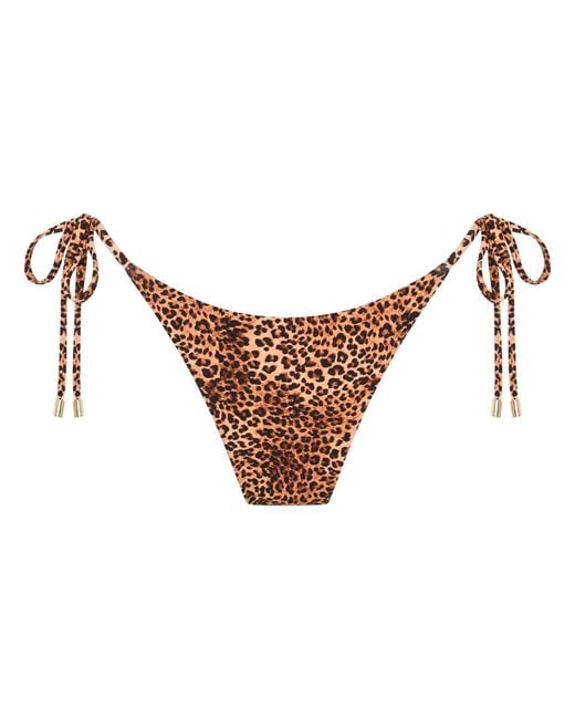 Soleil State Brown Sunseeker Leopard