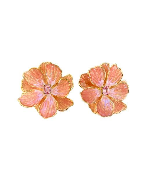 The Pink Reef Orange Coral Jewel Box