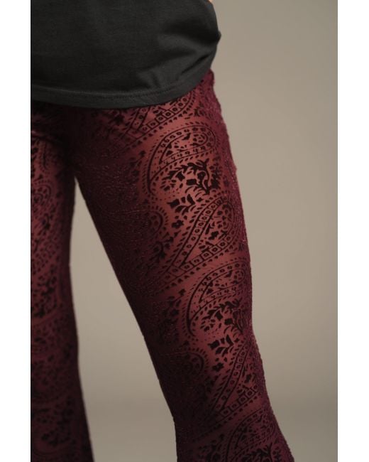 Little Lies Red Hendrix Plum Devore Velvet Flares