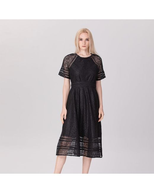 Smart and Joy Black All-Lace Flared Dress And Trims