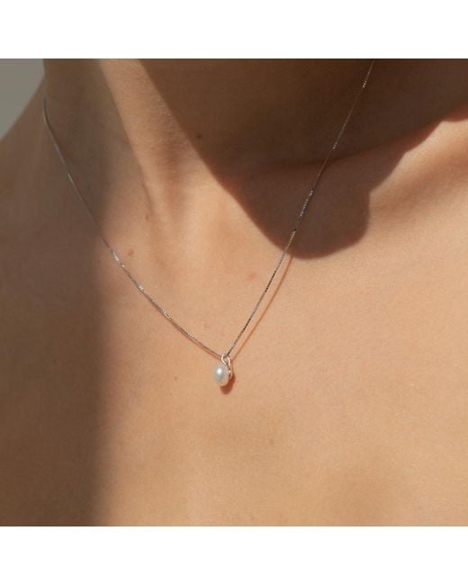 Arctic Fox & Co. Metallic Single Pearl Chain Necklace