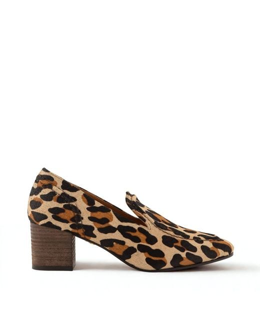 Mariano Shoes Brown Alfama Pump Leopard