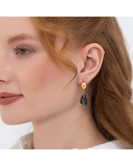 LINYA JEWELLERY Metallic Natural Labradorite Earrings