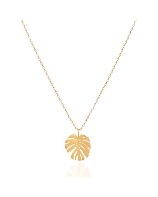 C.J.M Metallic Cheese Plant Necklace