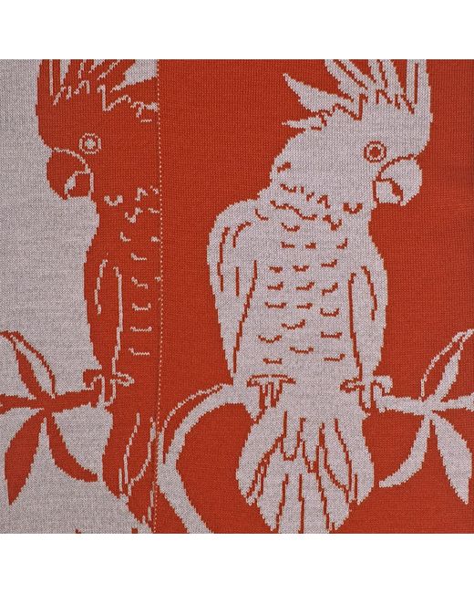 Otto & Spike Red Scarves