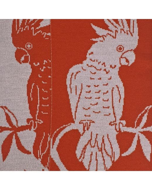 Otto & Spike Red Scarves