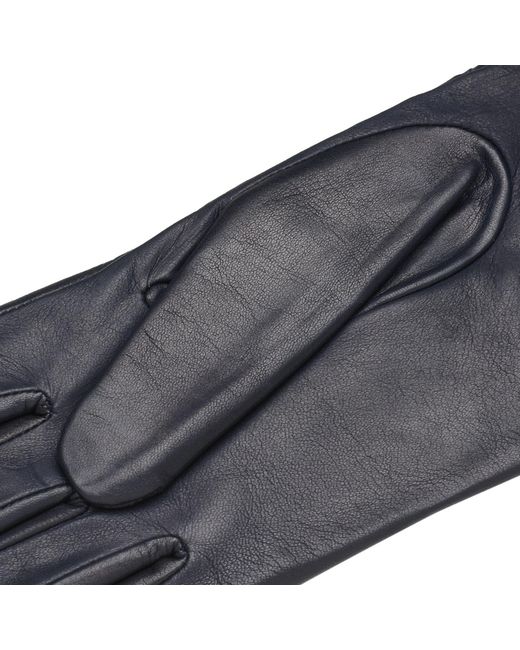 1861 Glove Manufactory Blue Trani