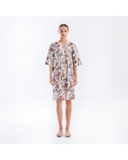 Haris Cotton Multicolor Printed Dress