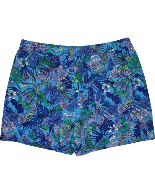 Lords of Harlech Blue Quack Jungle Garden for men