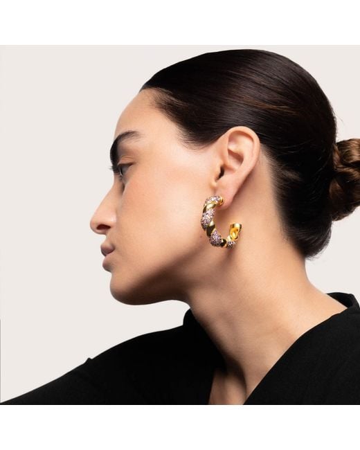 Lavani Jewels Metallic Purple & Gold Plated Paramount Hoops