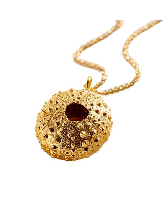 Posh Totty Designs Metallic Sea Urchin Necklace for men
