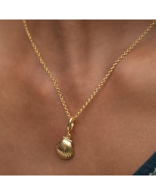 Lily Charmed Metallic Plated Clam Shell Charm Necklace