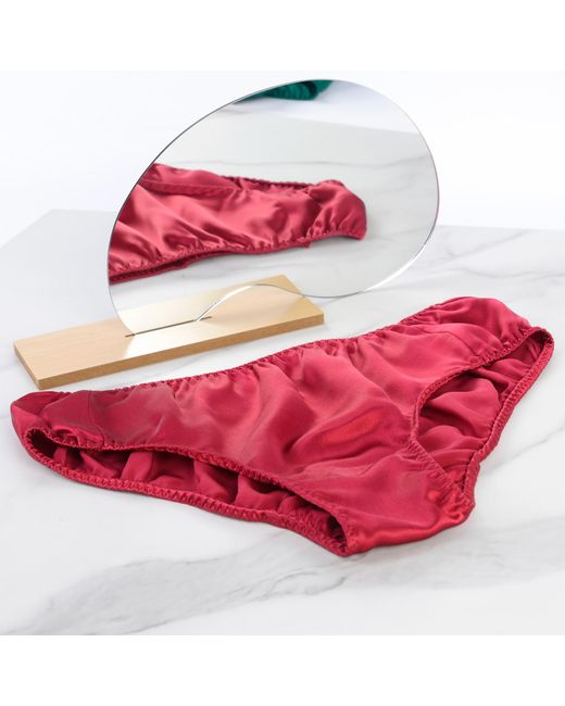 Soft Strokes Silk Red Set Of Two Pure Mulberry Silk Bikini Pantie