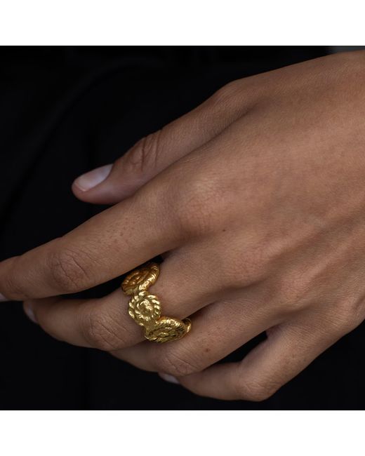 EVA REMENYI Metallic Nautilus Chunky Ring