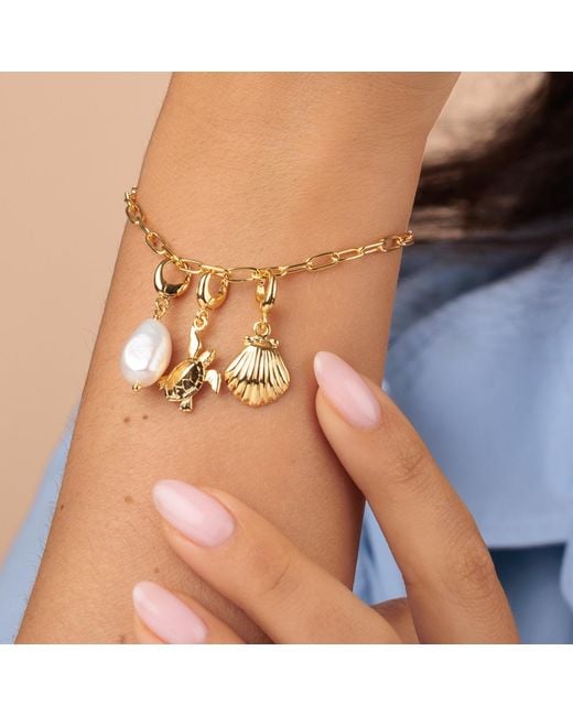 Lily Charmed Metallic Plated Ocean Oval Link Charm Bracelet