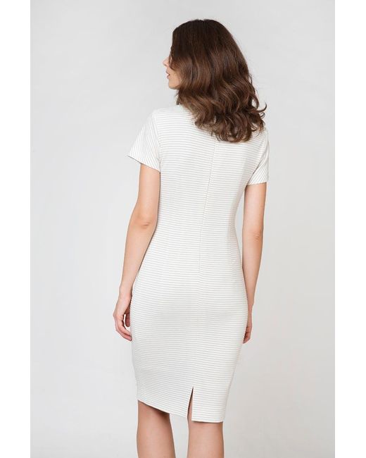 Conquista Natural Neutrals Short Sleeve Fitted Dress