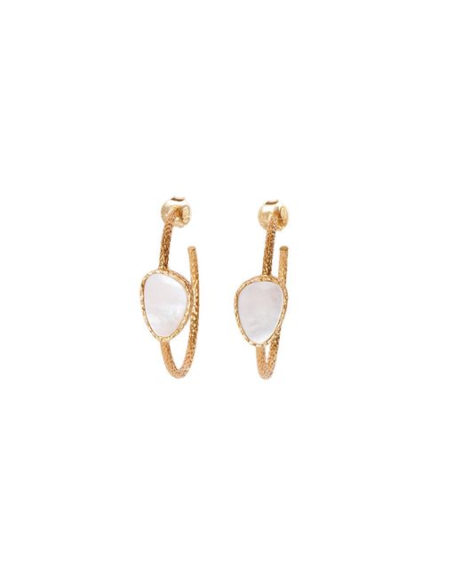 Christina Greene Metallic Hoop Earrings