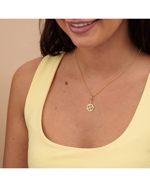Lily Charmed Metallic Plated Compass Charm Necklace
