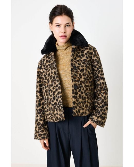 Louche Black Apple Animal Teddy Faux Fur Collar Jacket