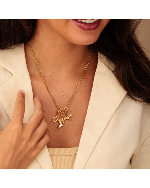 Lily Charmed Metallic Plated Trinity Charm Collector Necklace