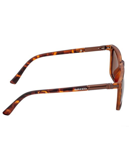 Breed Brown Caelum Polarized Acetate Rectangular Sunglasses for men