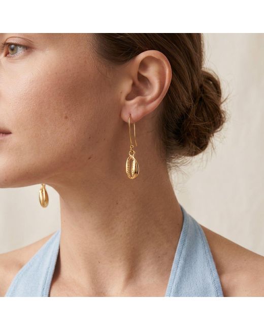 Jaredjamin Metallic Cowrie French Hook Earrings