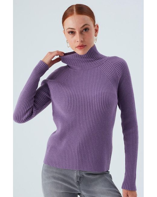 Peraluna Purple High Mock Neck Cashmere Blend Ribbed Knit Pullover
