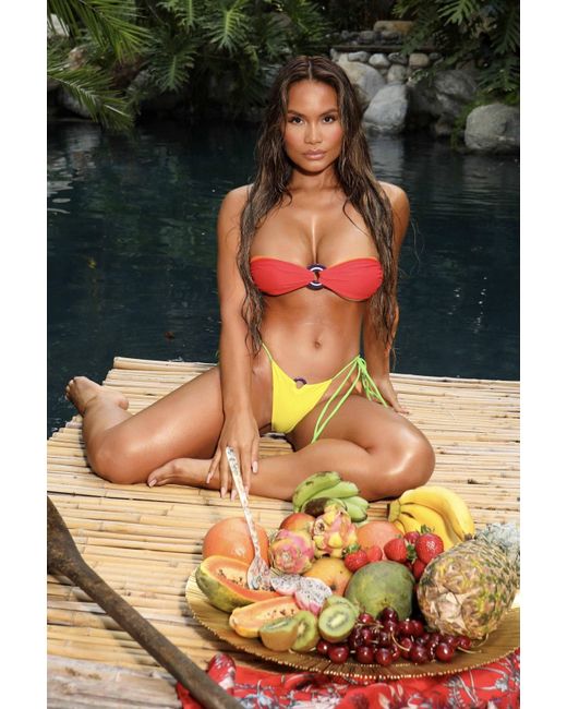 Animal Red Tropikal Bikini Top