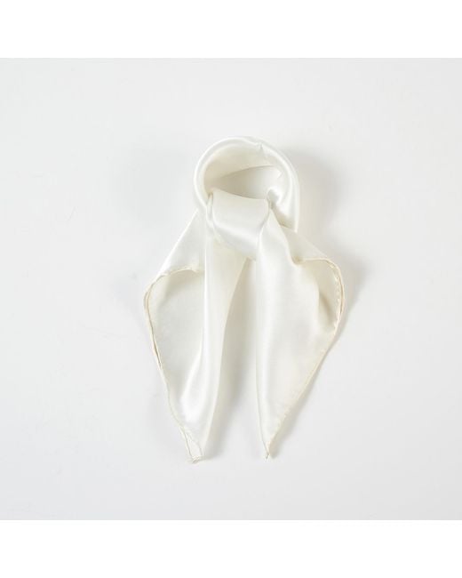 Soft Strokes Silk White Pure Silk Scarf Daffodil Solid Colour Collection Ivory Small