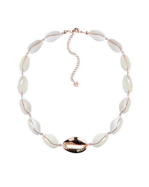 Adriana Pappas Designs Metallic Metal Shell Accent Choker