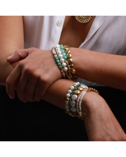 Rachel Nathan Yellow Spice: Brass Sand Dollar Coin Bracelet