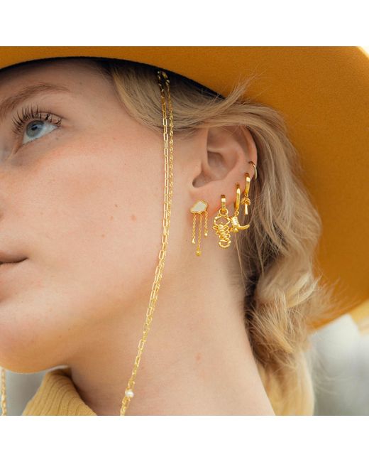 Shaded the Label Metallic Scorpion Droplet Huggie Hoop Earrings