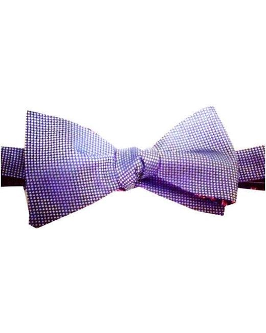 Lazyjack Press Blue The Mullet: Business for men