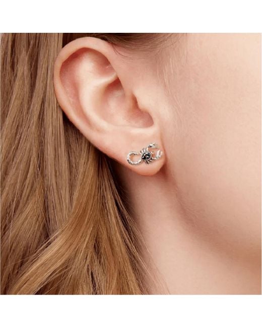 Angel Barocco Blue Vintage Scorpion Mystic Stone Stud Earrings