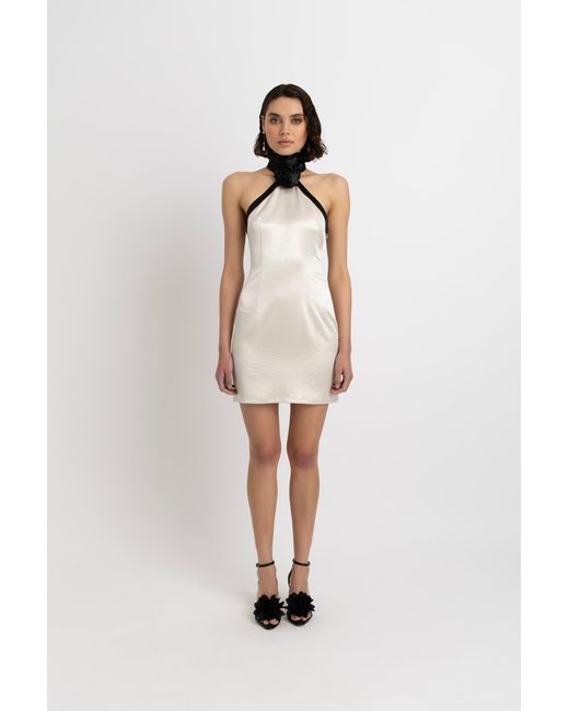 Amy Lynn Natural Neutrals Rosella Satin Halterneck Mini Dress