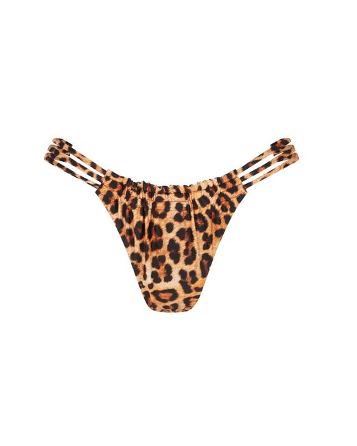 Room 24 Brown Cali Bottom Leopard/black Reversible