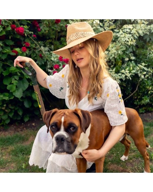 Shaded the Label Brown Neutrals Willowmere Natural Straw Fedora Hat