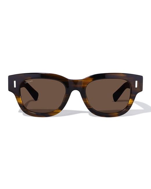 Cossimo Brown Monaco Viola Acetate Sunglasses