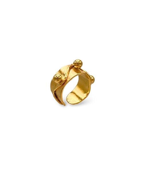 Jaredjamin Metallic Chivalry Ring