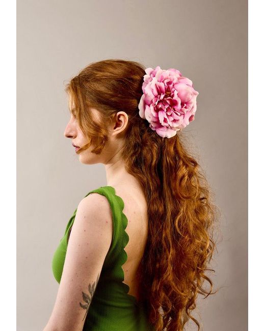 Bellatrix Pink The Rose