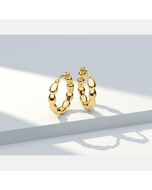 Sif Jakobs Jewellery Metallic Earrings Goccia Cerchi Pianura