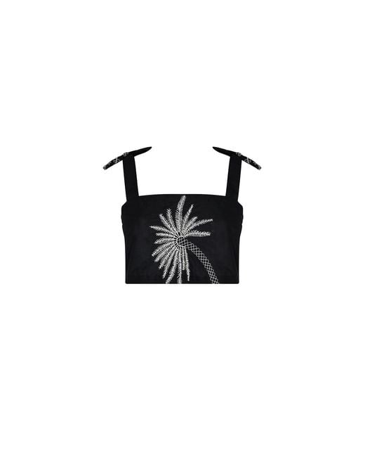 Aguaclara Black Sago Palm Top