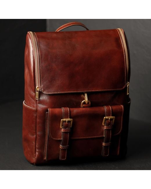 Time Resistance Brown Large Leather Backpack for men